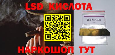 МДПВ Гатчина