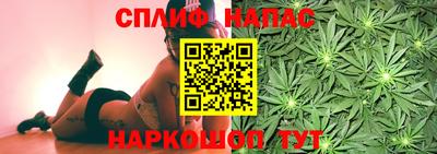 МДПВ Гатчина