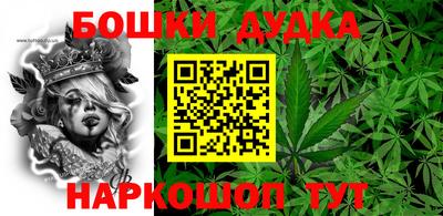 шишки Гай