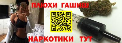 шишки Гай