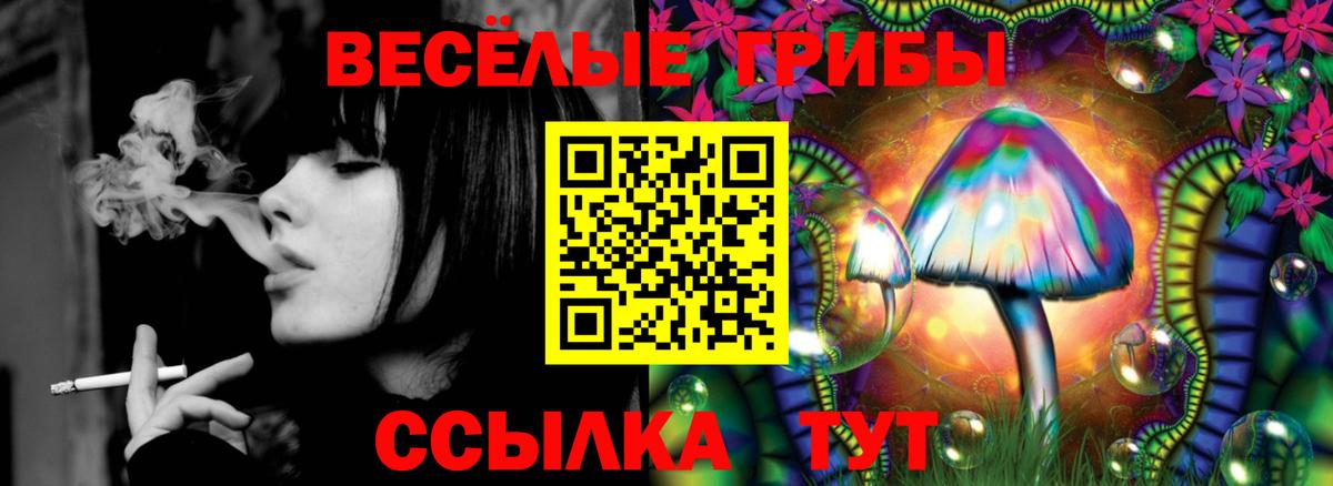 Галлюциногенные грибы ЛСД Бахчисарай